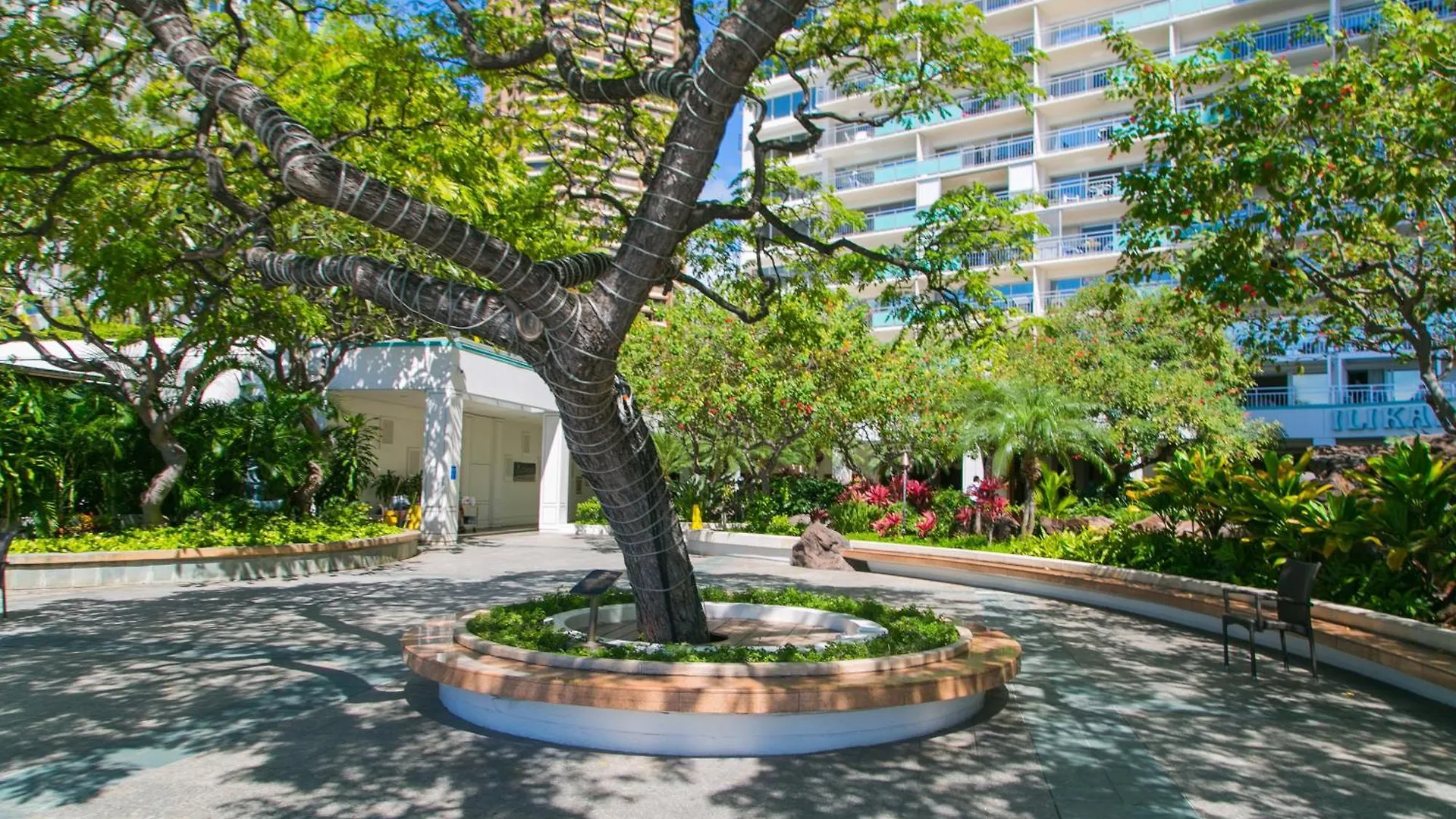Apartment Ilikai Tower 1228 Lagoon View 1Br Honolulu